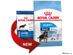 Royal Canin Maxi Puppy Роял Канин Макси Паппи корм для щенков крупных пород в возрасте с 2 до 15 месяцев,  15 кг