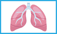 ДЭНАС при заболеваниях органов дыхания