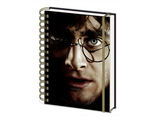 Ежедневник Pyramid: Harry Potter (Harry/Voldermort) A5 Wiro Notebooks 3D