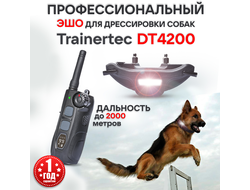Электронный ошейник для собак DT4200