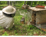 Содержание Вашей Именной Личной Пчелосемьи на пасеке