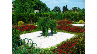 Озеленение сквера по ул. Кооперативная г. Сочи