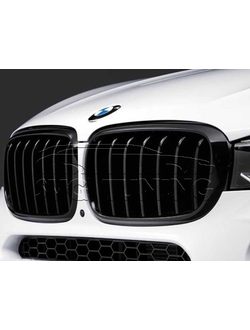 Ноздри BMW X6 E71