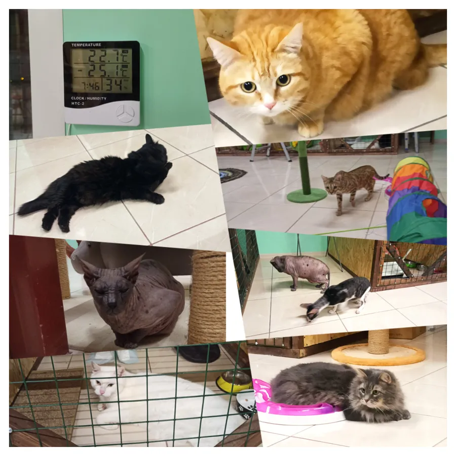 Отопление зимой происходит через систему теплые полы