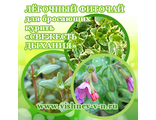 Лёгочный фиточай для бросающих курить &quot;Свежесть дыхания&quot;