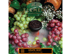 Табак Element Grape Mint Виноград Мята Земля 25 гр