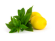 Гель для душа с Алоэ "Лимон и Вербена" (Lemon Verbena) Sangam Herbals, 200 мл