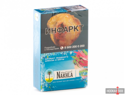 Nakhla (Акциз) 50g - Ice Watermelon Mint (Айс Арбуз с мятой)