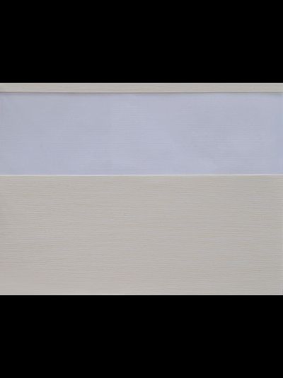 W2421, день-ночь. 60-80%