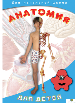 Анатомия для детей, видеофильм учебный