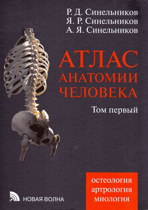 Атлас Анатомический Синельникова - engregulations