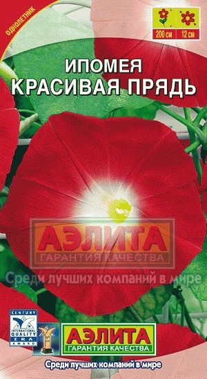 Ипомея Красивая прядь Аэлита