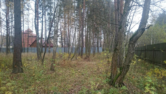 Лесной участок 40 соток в деревне  Шмеленки  Раменского района(возможна разбивка)