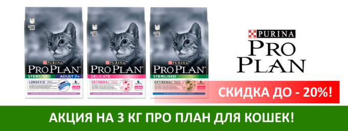 Вайлдберриз Интернет Магазин Красноярск Проплан Для Кошек