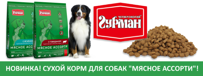 Вандеру Интернет Магазин Калининград