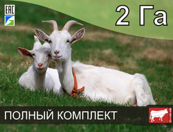 Электропастух СТАТИК-3М для коз на 2 Га - Удержит даже самого наглого козла!