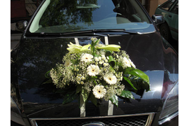 Оформление свадеб