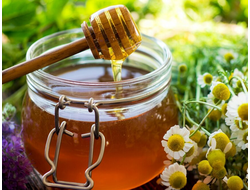 Цветочный мед алтайский натуральный домашний | ферма СытникЪ