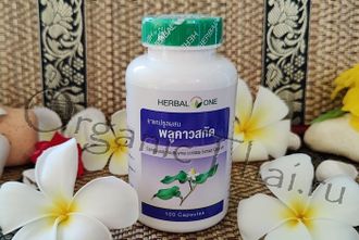 Houttuynia Cordata Extract Thunb - отзывы, купить | ПЛУ КХАО - состав