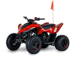 CFMOTO CFORCE 110