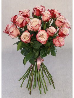 Букет 25 бело-бордовых роз