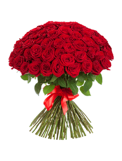 Букет из 101 красной розы - 60 см