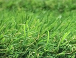 Искусственная трава CONDOR FLUFFY GRASS