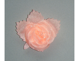 Роза средняя персиковая, 7,5*9 см.