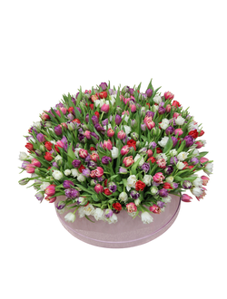 Цветочные коробки