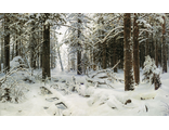 Зима, по мотивам картины Шишкина И.И.  (алмазная мозаика) mp-mz-mo avmn