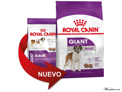 Royal Canin Giant Adult Роял Канин Джаинт Эдалт корм для собак гигантских пород старше 18/24 месяцев, 15 кг