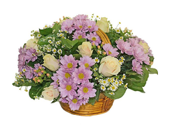 Корзина хризантем Серебро и Золото