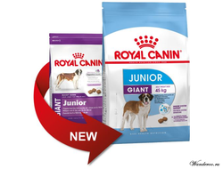 Royal Canin Giant Junior Роял Канин Джаинт Юниор корм для щенков гигантских пород в возрасте с 8 до 18/24 месяцев, 15 кг