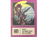 Мир душистых растений. М.: 1983.