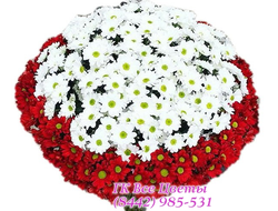 Большой букет белых и красных ромашек