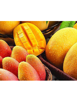 Magnificent Mango (Exclusive!) / Манго база