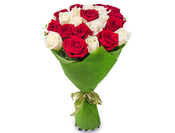 21 красно-белая роза (50 см.)