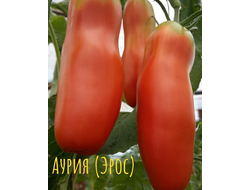 семена томаты "Аурия" 10 шт.