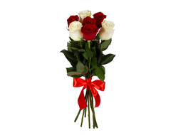 7 роз красных и белых (50 см.)