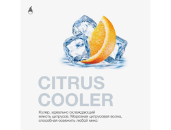 Табак Mattpear Citrus Cooler Цитрусовый Микс Лед 50 гр