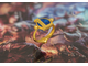 Кольцо Logo League of Legends Серебро, позолота.