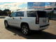 Cadillac Escalade New White Edition