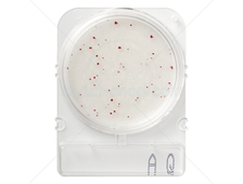 Подложки Compact Dry AQ (гетеротрофные микроорганизмы в пробах воды)