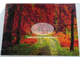 Осенний лес DS118 (алмазная вышивка-мозаика) mp-mo avmn