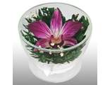 CuSO1 Цветы в стекле: Композиция из орхидей