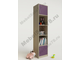 Узкий детский шкаф с нишами для игрушек и книг СД№3