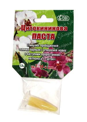 Наш огород пасты для декупажа своими руками Наш огород пасты для
