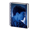 Ежедневник Pyramid: Harry Potter (Magic Portrait) 3D Cover A5 Wiro Notebooks 3D