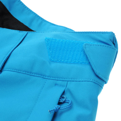 Горнолыжные штаны мужские Salomon Rise Pant голубые