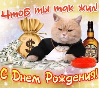 С днем рождения! кот 21*24 см